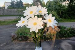 IMG_20250812_194450_452