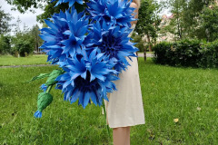 IMG_20250728_114844_214