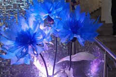 IMG_20250905_101745_183